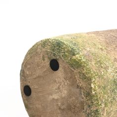 a large rock with holes in it on a white background