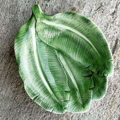 a green leaf laying on the ground