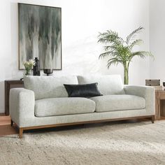 a living room with a couch, table and potted plant on the floor in front of it