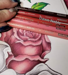 a hand holding three pencils in front of a drawing of a pink rose with green leaves