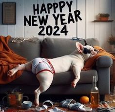 a dog laying on top of a couch next to an orange and white blanket with the caption happy new year 2012