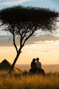 two people sitting under a tree on top of a field