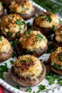 several stuffed mushrooms on a white plate with parsley sprinkled around them and garnished with cheese