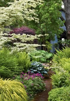 a garden with lots of plants and trees