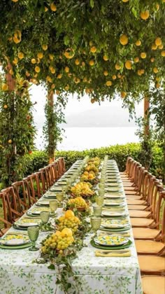 a long table set with plates and glasses under an orange tree filled with lemons