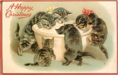 an old christmas card with kittens in a bathtub and the caption says happy christmas