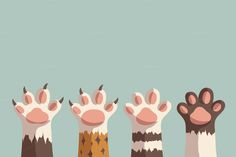 four different animal paws with their claws raised up in front of the camera, against a blue background