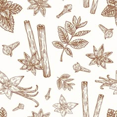 seamless pattern with spices and herbs