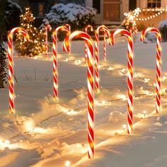 several candy canes are lined up in the snow with christmas lights on behind them