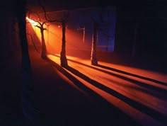 the sun shines brightly through trees on a dark street at night with long shadows