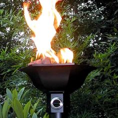 a fire pit with flames coming out of it in the middle of some bushes and trees