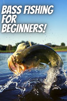 a large fish with it's mouth open and the words bass fishing for beginners