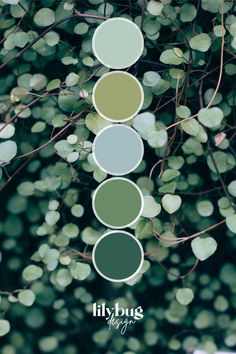 Lush Green Colour Palette by Lilybug Design Nature Color Pallets, Lush Aesthetic Green, Lush Color Palette, Colours In Nature, Green Aesthetic Color Pallete, Aesthetic Color Palettes Green, Green Palette Aesthetic, Art Colour Palettes, Colour Palette 2023