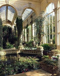 an image of a room that is filled with water lilies and other plants in it