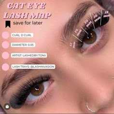 Cat Eye Lash Map, Rich Off Lashes, Lash Business Ideas, Eyelashes Tutorial, Lash Looks, Eyelash Studio, Natural Fake Eyelashes, Lash Maps, Lash Map