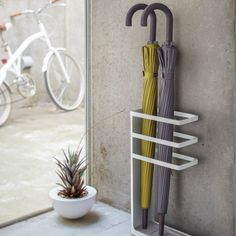 an umbrella is hanging on the wall next to a potted pineapple and bike