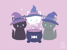 three cats wearing witches hats and sitting next to a caulder filled with purple liquid