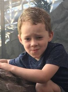 a young boy sitting on top of a rock next to a large fish tank in a zoo