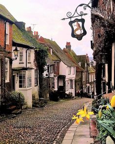 a cobblestone street with yellow flowers in the foreground and old buildings on either side