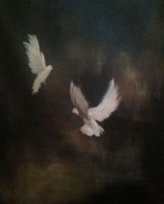 two white doves flying in the night sky