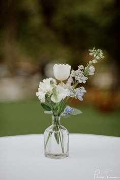 a vase filled with white flowers sitting on top of a table next to a green field