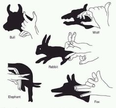 black and white drawing of hands reaching for a rabbit's head with the fingers