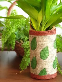 a potted plant sitting on top of a wooden table next to other green plants