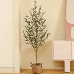 a small potted tree sitting next to a white dresser in a room with beige walls