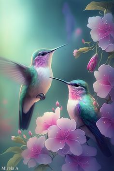 two hummingbirds sitting on top of flowers with one flying towards the other and touching their beaks