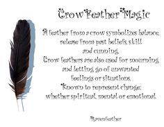 Crow feather magic Feather Magic, Feather Meaning, Feather Collection, Crow Feather, Animal Spirit Guides, Utila, Practical Magic, Animal Totems