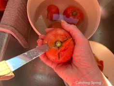 #1 Absolute Easiest Canned Tomatoes Recipe Ever - Catching Spring