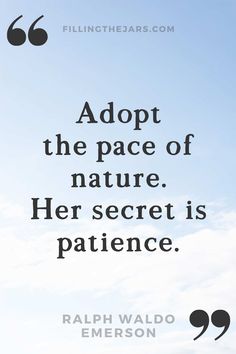 an image with the quote adopt the pace of nature her secret is patience