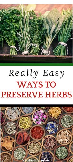 herbs and herbs in bowls with the words really easy ways to preserve herbs on them