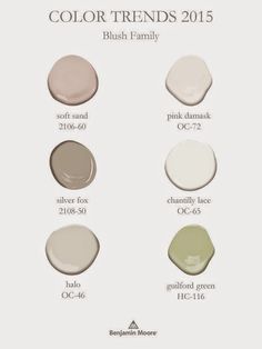 different shades of paint for the walls and floors in this color scheme, which is also available