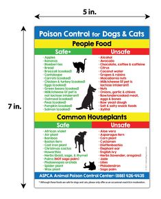 a poster showing the different types of dogs and cats in each area, including their names