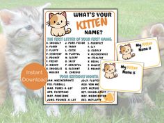 two kittens sitting in the grass with their name tags