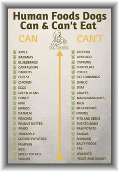 a poster with the words human foods dogs can and can't eat on it