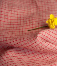 a single yellow flower sitting on top of a red and white checkered cloth