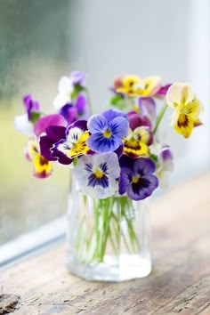 purple and yellow pansies in a clear glass vase on a window sill by jodi lenski for stocksy photography