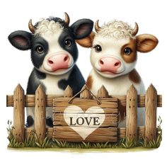 two cows are standing behind a fence with a love sign in front of them that says, i love you