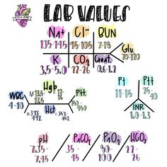 an image of a diagram with the names and numbers for each element in this game