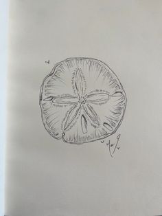 a drawing of a sand dollar