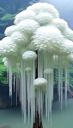 a large white tree with icicles hanging from it's branches in front of an aquarium