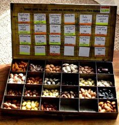 a wooden box filled with lots of different types of nuts