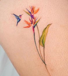 a bird of paradise tattoo on the back of a woman's shoulder