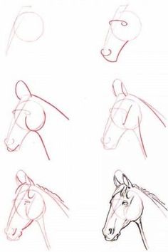 the steps to draw a horse with pencils