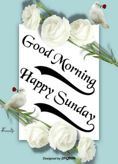 a card with white flowers and the words good morning, happy sunday on it's side