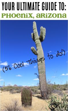 a large cactus with the words, your ultimate guide to phoenix arizona