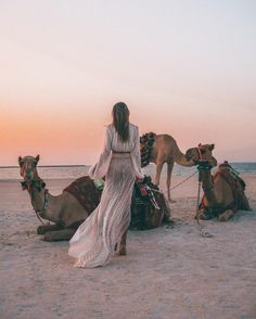 a woman in a white dress is standing next to two camels on the beach