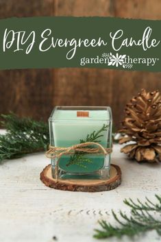 an evergreen candle is sitting on a table next to pine cones